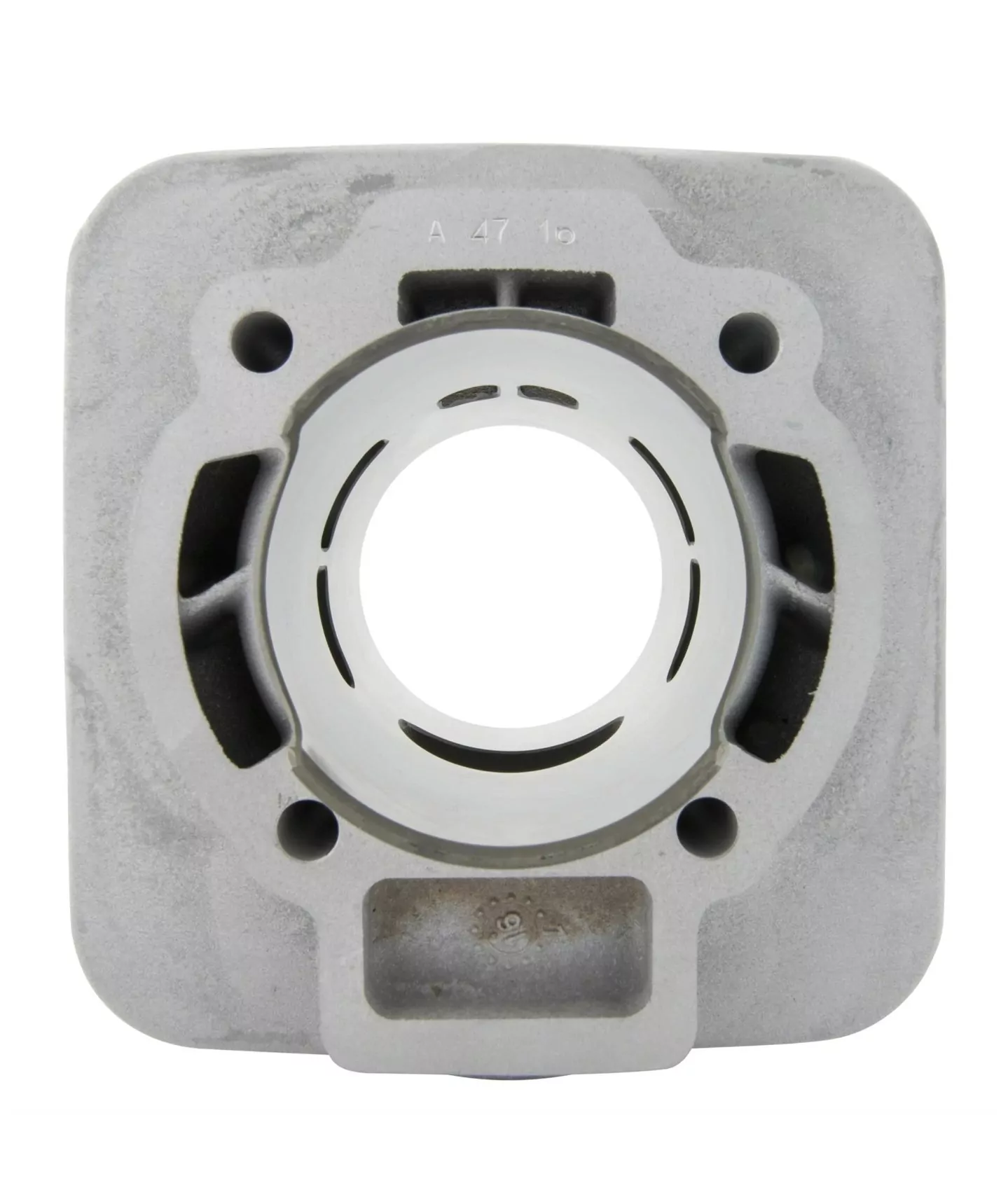 RENNZYLINDER MALOSSI 172cc 318237 - für Piaggio AC Maxi 2-Takt - Piaggio SKR125/150, Skipper 125/150, TPH125, Aprilia SR125 – Bild 10