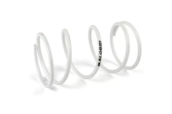 MALOSSI MULTIVAR Variomatik Gilera Runner 180 – Bild 3